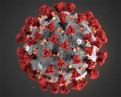 Pandemia por coronavirus COVID-19
